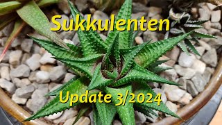 Sukkulenten [upl. by Modeerf]