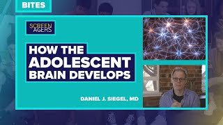 Screenagers Bites  How The Adolescent Brain Develops  Daniel J Siegel MD [upl. by Liddle]