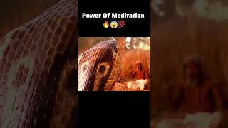 Power Of Meditation  Gautam Buddha Status shorts [upl. by Chandal186]