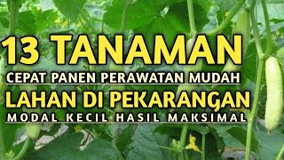 13 TANAMAN CEPAT PANEN DAN MENGUNTUNGKAN MODAL KECIL [upl. by Azar]