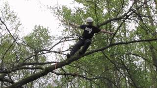 Branchwalking  Basic tree climbing techniques [upl. by Atneciv]