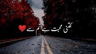 Kitni Muhabbat Hai Tumse  Sad Shero Shayari Status In Urdu  Dukhiya Poetry Hindi [upl. by Eiramnaej]