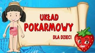 Układ pokarmowy 👅 Film edukacyjny dla DZIECI 🧒 [upl. by Malva329]