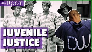 History of the Juvenile Justice System [upl. by Ahsaekal812]