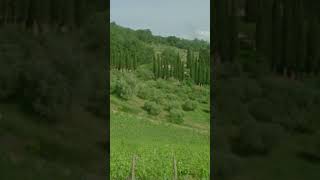 hills of tuscany 16mm [upl. by Utas]