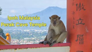 Ipoh Malaysia Perak Cave Temple Climb [upl. by Sirronal45]