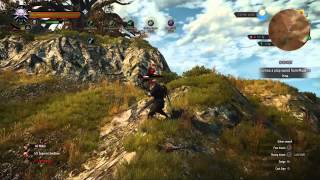 Witcher 3  Level 32 Basilisk fight [upl. by Alius]