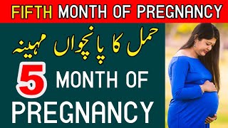 5 Month Of Pregnancy ll Fifth Month of Pregnancy Baby Development Food to Eat حمل کا پانچواں مہینہ [upl. by Virnelli]