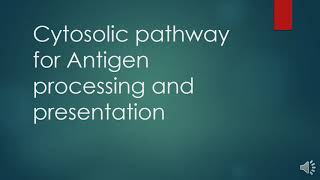 Cytosolic pathway of antigen processing and presentation All the steps with Questions and Answers [upl. by Nahamas]