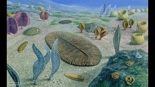 The Cambrian Explosion Pt 1 [upl. by Arelus]