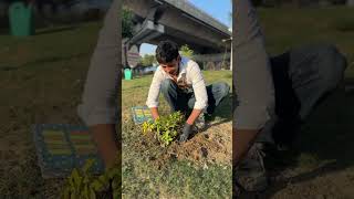 Planting 1 Lakh Trees 🌳 shortsfeed socialwork viral trending [upl. by Aivle]