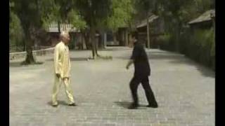 Baguazhang Bagua internal eight trigram palm [upl. by Christmann]