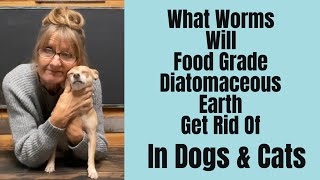 Deworming Dogs and Cats with Diatomaceous Earth Natural Parasite Control [upl. by Llerret]