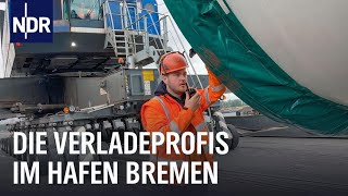 Groß schwer und sperrig  Die Verladeprofis im Hafen Bremen  Die Nordreportage  NDR Doku [upl. by Ardelle]