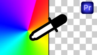 How To Remove a Color From Video in Premiere Pro [upl. by Ferdinand]