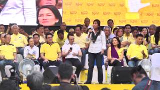 Loren Legarda  Team PNoy proclamation rally [upl. by Ocsisnarf2]