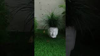 Plant hair style of Buddha [upl. by Tammy]