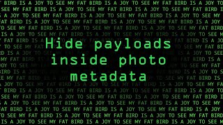 EXIF TOOL  HIDE PAYLOAD IN IMAGE [upl. by Sirrap]