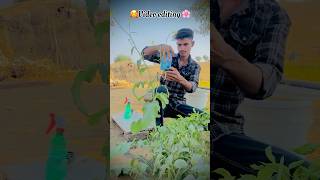 🇮🇳🌱Farming reels instareels instagood trendingreels farmarlife villagerslife reelsindia [upl. by Joella]