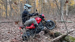 Honda Navi Offroad 4K60FPS [upl. by Wunder347]