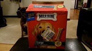 Milk Bone 10LB Large Dog Biscuits Review [upl. by Cristy]