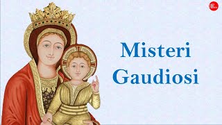 IL SANTO ROSARIO  Misteri GAUDIOSI  del GAUDIO  Lunedì e Sabato [upl. by Merdith]