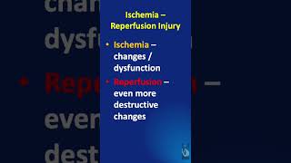 Shorts  117 Ischemia Reperfusion Injury  What is it and what tissues are affected [upl. by Eugnimod]