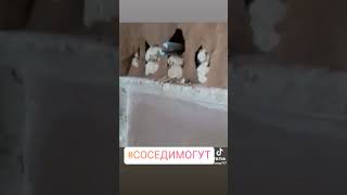 Фирма веников не вяжет 🤣 юмор кирпич топ плитка кино мастерская фильм мастер фильмы [upl. by Mccallion]