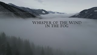 El Susurro del Viento 🍃 Un Viaje a Través de la Niebla Misteriosa 🍂ASMR Naturaleza Relajante [upl. by Eliath]