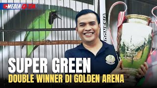 KONCER MUTLAK SUPER GREEN DOUBLE WINNER DI GOLDEN ARENA  KUSNADI FOX 36 BANDUNG [upl. by Oruasi]