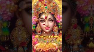 Sri Suktam Path ke Labh Om Shri Mahalaxmi Namo Namah [upl. by Eilatam]