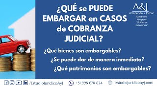 🏠EMBARGO JUDICIAL ¿QUÉ se PUEDE EMBARGAR en CASOS de COBRANZA JUDICIAL [upl. by Lauber]