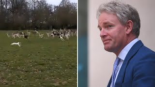 Tory MP fined after dog causes deer stampede in Richmond Park [upl. by Kravits]