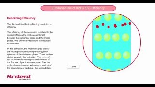 Fundamentals of HPLC 18  Describing Efficiency [upl. by Eiramnaej]