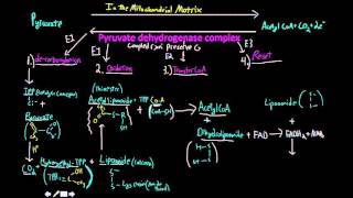 Pyruvate dehydrogenase complex [upl. by Hakceber101]