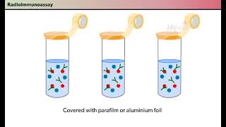 Immunological Techniques RIA [upl. by Savanna]