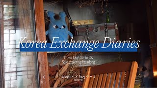 korea exchange diaries ep 1  exploring hongdae amp insadong [upl. by Hillyer]