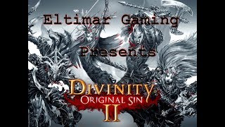 Lets Play Divinity Original Sin 2  81 Sallow Man [upl. by Padriac]