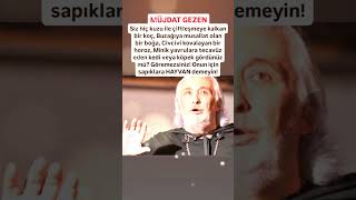 MÜJDAT GEZEN SİZ HİÇ KUZU İLE ÇFTLŞMYE KALKAN KOÇ GÖRDÜNÜZMÜ BUZAĞA MUSALLAT OLAN BİR BOĞA [upl. by Adnawad]