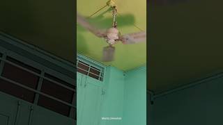 Ceiling Fan Goofy 🤪 mix Part 2tending funny tiktok viralvideo shorts [upl. by Nitas]