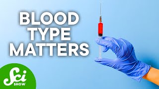 The Pros amp Cons of Your Blood Type [upl. by Revkah15]