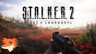 STALKER 2  LIVE  Ca y est On part explorer la zone dexclusion de Chronobyl [upl. by Vowel]