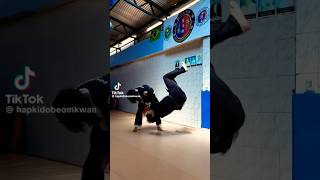 aikido master amazing skills hapkido Kung Fu wushu martial arts karate training extraordinary omg [upl. by Sutton140]