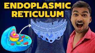 Complete Endoplasmic Reticulum Only In 6 Minutes  In Hindi [upl. by Mersey203]