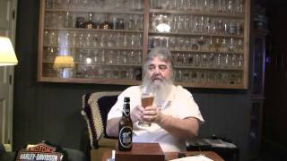 Beer Review  234 Harboe Bear Beer [upl. by Chlori]