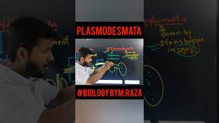 plasmodesmata cell cellbiology biology kingdomofbiology celltheunitoflifeclass11 neet 11th [upl. by Nanis]