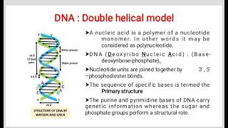 NUCLEIC ACID DNA and RNA [upl. by Akemahs]