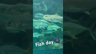 Big fish little pond hiphop rap music [upl. by Jarnagin868]