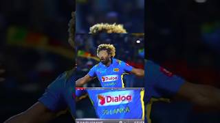 Malinga dangerous Yorker bowling 😱 shorts trending [upl. by Darnall715]