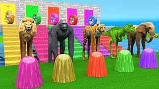 Cow elephant gorilla dinasour Sher khargosh buffalo cartoon colour funny cartoon cartoon animation [upl. by Crissie]